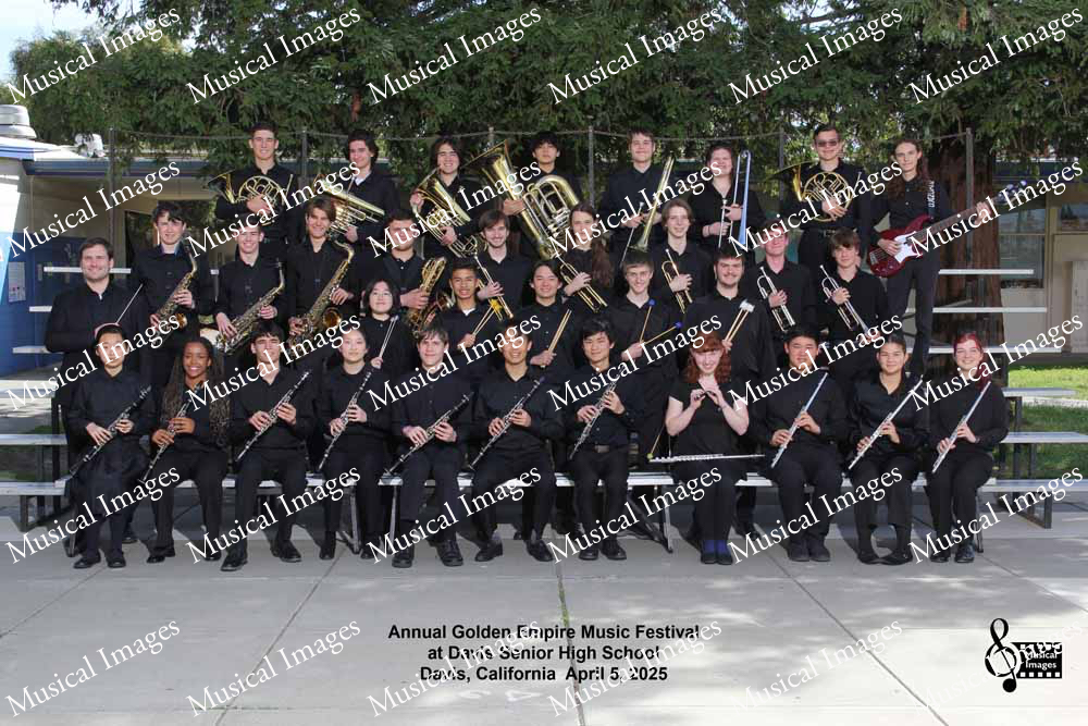 Musical Images